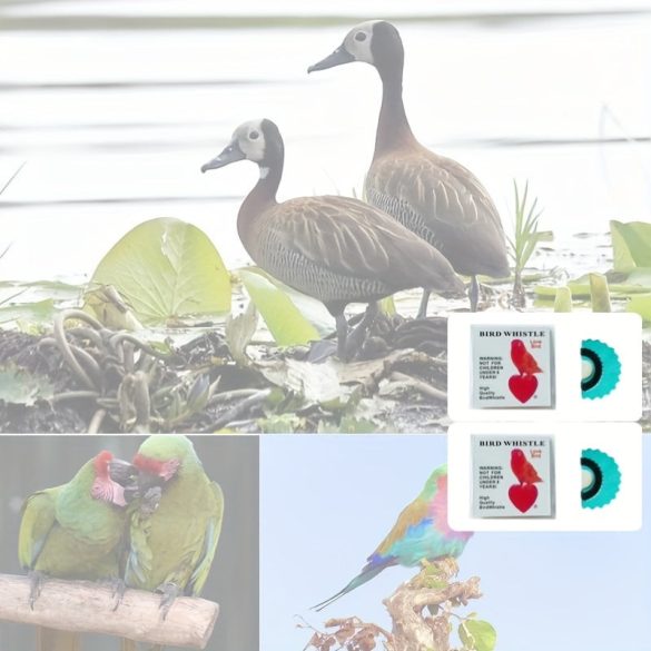 Madársíp Kék - 2 db - Madár síp