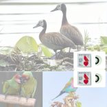 Madársíp fehér - 2 db - Madár síp