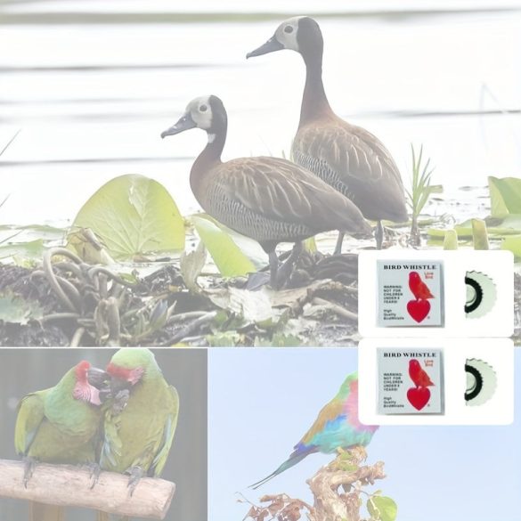 Madársíp fehér - 2 db - Madár síp