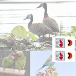 Madársíp Piros - 2 db - Madár síp