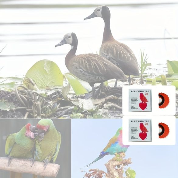 Madársíp Piros - 2 db - Madár síp