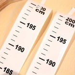 1 Tekercs Öntapadós Magasságmérő Matricák 1 db