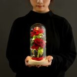 Örökrózsa LED Lámpával Üveg Búrában – Romantikus Ajándék és Dekoráció