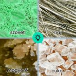 USB mikroszkóp, digitális mikroszkóp kamera