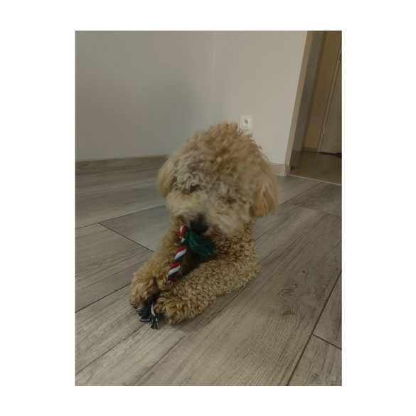 Karácsonyi ajándék kutyáknak – játékok Purlov 22637