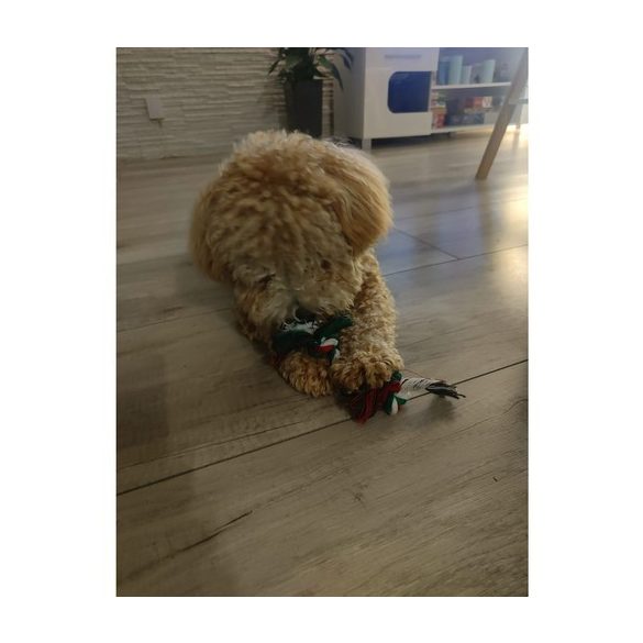 Karácsonyi ajándék kutyáknak – játékok Purlov 22637