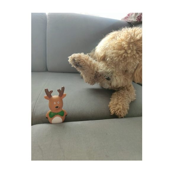 Karácsonyi ajándék kutyáknak – játékok Purlov 22637