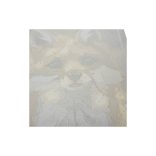 Számfestés 40x50cm - Róka 22782