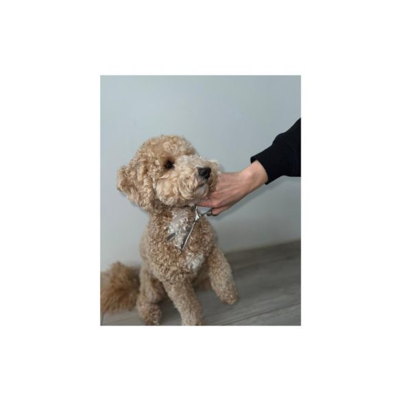 Kutyaszőrzet nyíró olló 