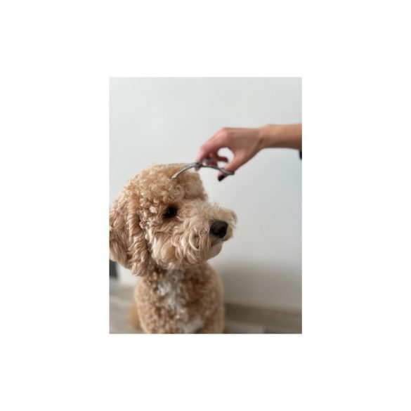 Kutyaszőrzet nyíró olló 